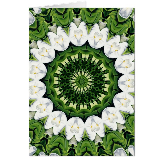 Lost In Paradise (Front)