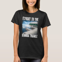 Lost In The Bermuda Triangle Plane