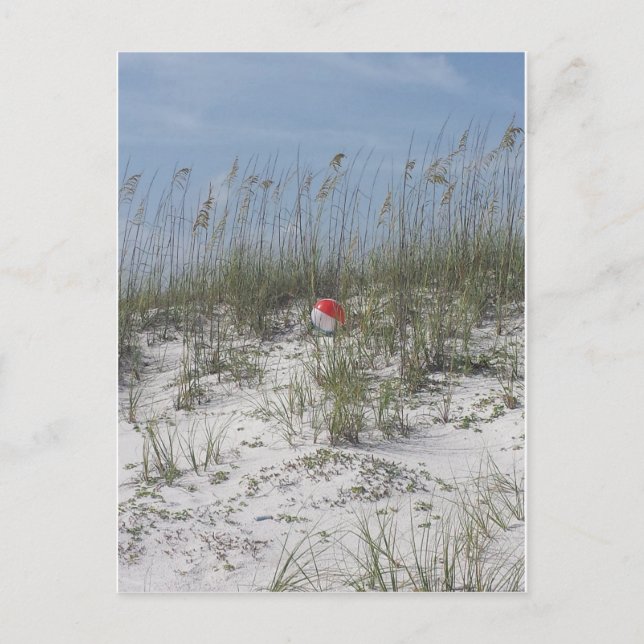 Lost in the Dunes Postcard (Front)