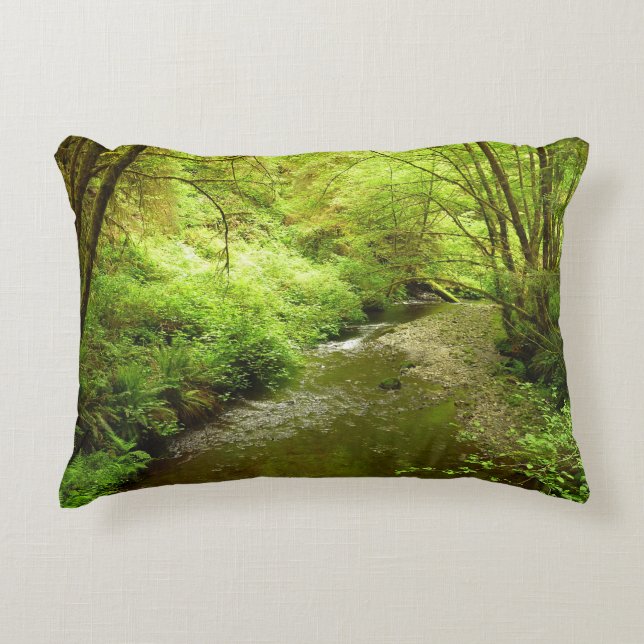 Lost Man Creek I at Redwood National Park Accent Pillow (Front)