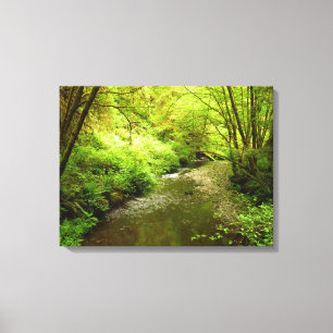 Lost Man Creek I at Redwood National Park Canvas Print