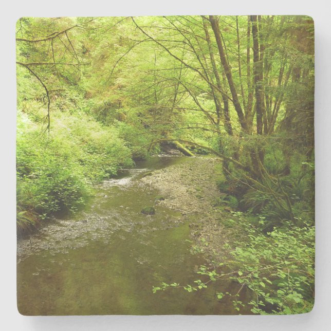 Lost Man Creek I at Redwood National Park Stone Coaster (Front)