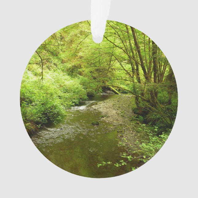 Lost Man Creek I au Redwood National Park (devant)