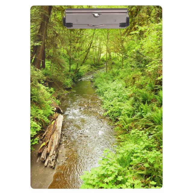 Lost Man Creek II at Redwood National Park Clipboard (Front)