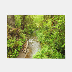 Lost Man Creek II at Redwood National Park Doormat