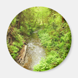 Lost Man Creek II at Redwood National Park Magnet