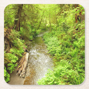 Lost Man Creek II at Redwood National Park Square Paper Coaster