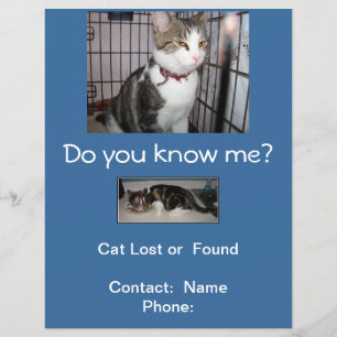 Lost or Found Cat Mailbox Flyer