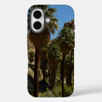 Lost Palms Oasis I at Joshua Tree National Park