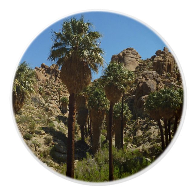 Lost Palms Oasis I at Joshua Tree National Park Ceramic Knob (Front)