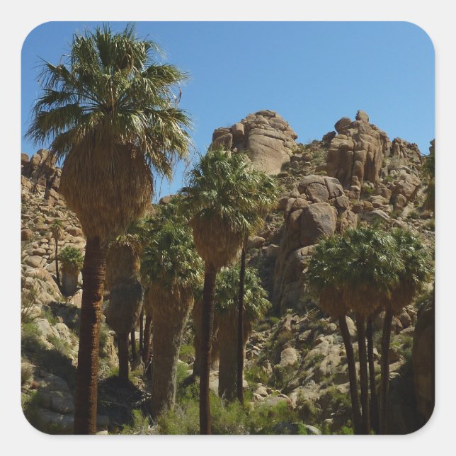 Lost Palms Oasis I at Joshua Tree National Park Square Sticker (Front)