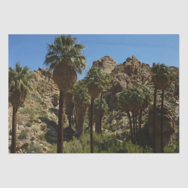 Lost Palms Oasis I at Joshua Tree National Park Tissue Paper (Front)