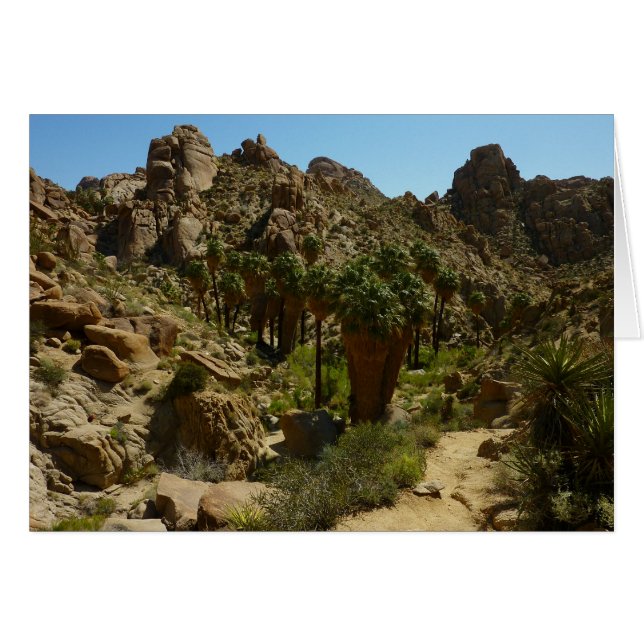 Lost Palms Oasis II at Joshua Tree National Park (Front Horizontal)