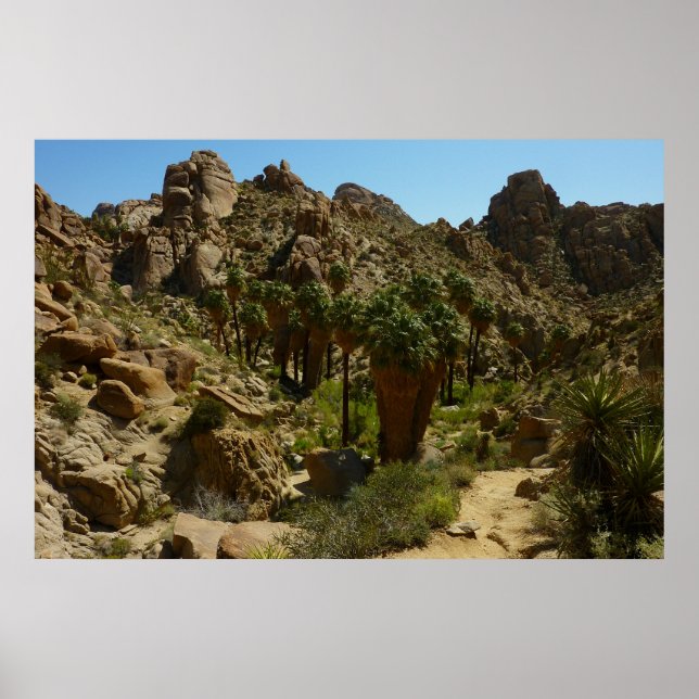 Lost Palms Oasis II at Joshua Tree National Park Poster (Front)