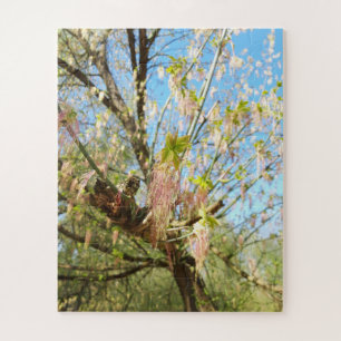 Lost Places , Meadowlands nature, Spring awakening Jigsaw Puzzle