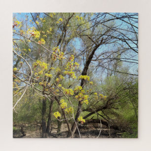 Lost Places , Meadowlands nature, Spring awakening Jigsaw Puzzle