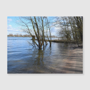 Lost Places , Trees on the river bank