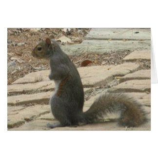 Lost without you squirrel card