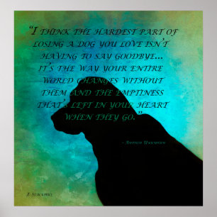 Losting a Dog Poster