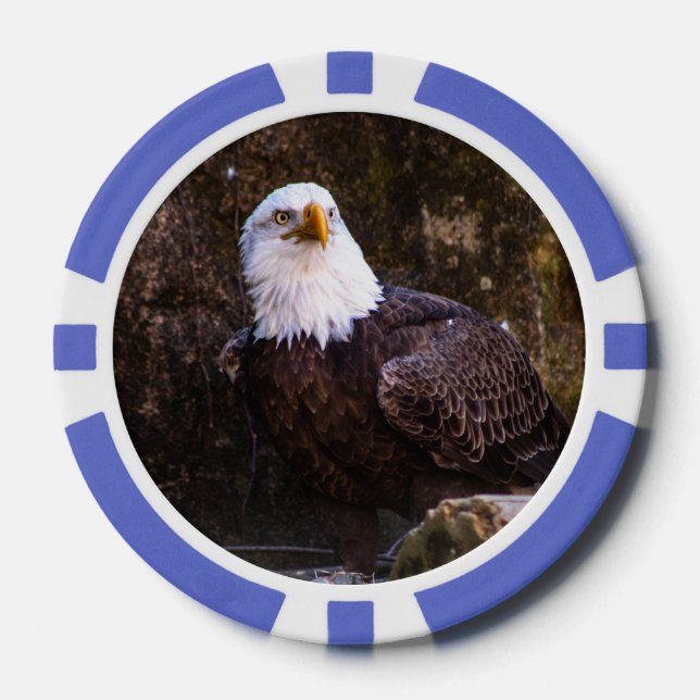 Lot De Jeton De Poker Aigle de Bald (Recto)
