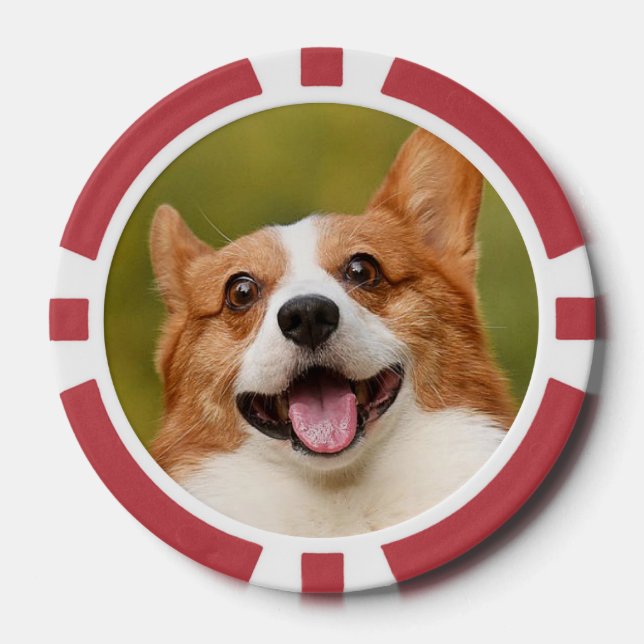 Lot De Jeton De Poker Ajouter photo de chien personnalisé Customisé (Recto)