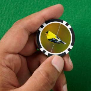 Lot De Jeton De Poker American Goldfinch - Photo originale