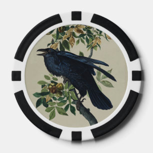 Lot De Jeton De Poker Art de la nature de l'oiseau corbeau Audubon vinta