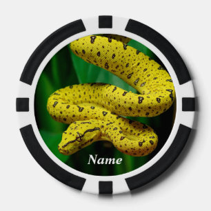 Lot De Jeton De Poker Baby Yellow Phase Green Tree Python Snake