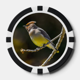 Lot De Jeton De Poker Cèdre cire Songbird Photo originale Oiseau sauvage