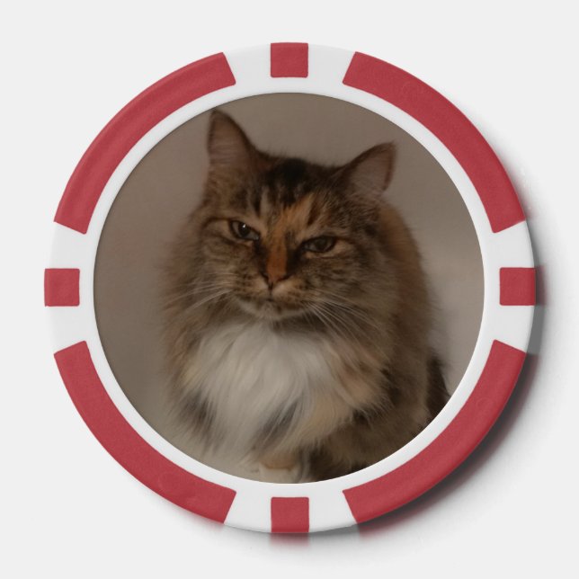 Lot De Jeton De Poker Chat  (Recto)