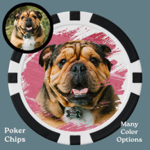 Chien mignon Français Bulldog Photo