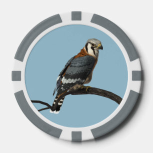Lot De Jeton De Poker Chip de poker américain Kestrel Clay