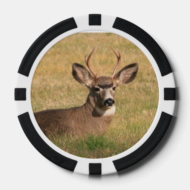 Lot De Jeton De Poker Chip de poker de cerfs (Recto)