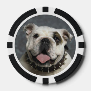 Lot De Jeton De Poker Chips de poker Bulldog anglais
