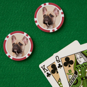Lot De Jeton De Poker Créez Votre Propre Photo de Chien/Chat Personnalis