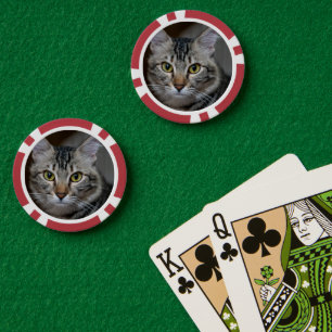 Lot De Jeton De Poker Créez Votre Propre Photo Personnalisée de Chat de 