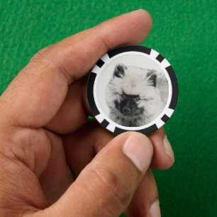 Lot De Jeton De Poker Dessin Keeshond Chiot - Joli dessin original Chien