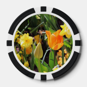 Lot De Jeton De Poker Falln Little Bee en vol