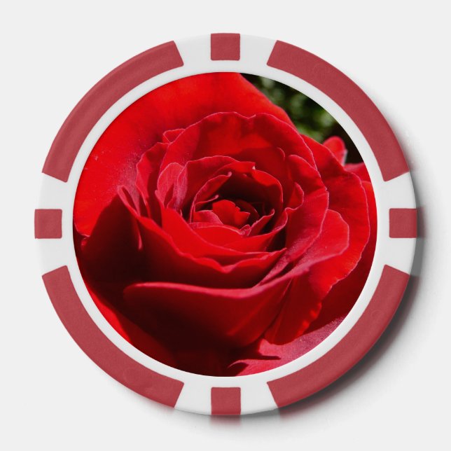 Lot De Jeton De Poker Fleur rose rouge vif Belle florale (Recto)