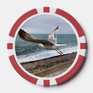 Lot De Jeton De Poker Le goëland d'Etretat français
