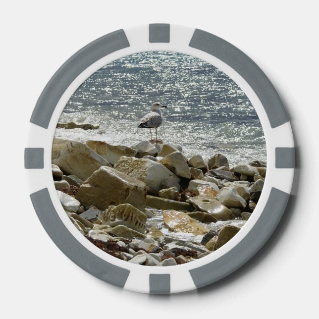 Lot De Jeton De Poker Mouette (Recto)