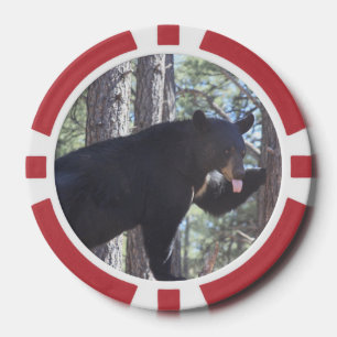 Lot De Jeton De Poker Ours noir