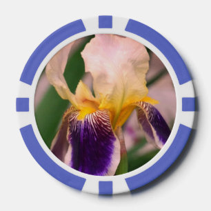 Lot De Jeton De Poker Puces de poker violet Iris Fleur Photo Clay