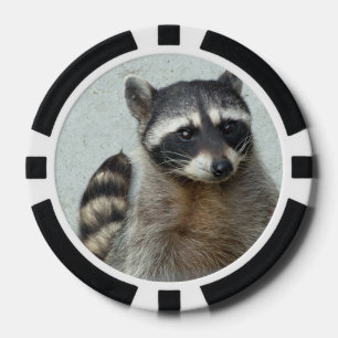 Lot De Jeton De Poker Raccoon
