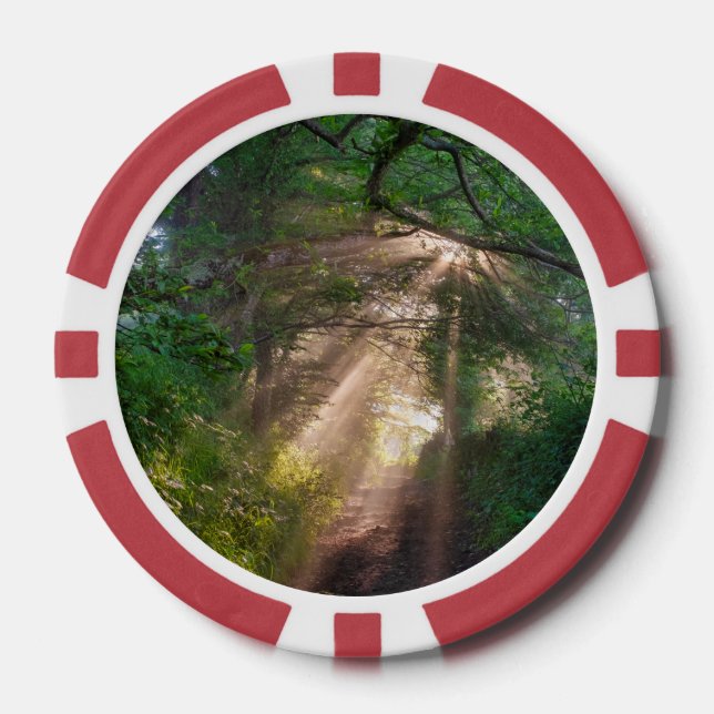 Lot De Jeton De Poker sentier forestier (Recto)