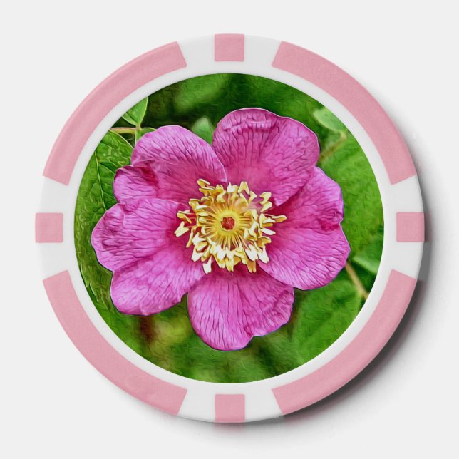 Lot De Jeton De Poker Un Rose sauvage (Recto)