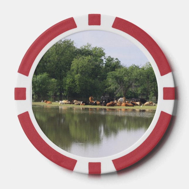 Lot De Jeton De Poker Vache (Recto)