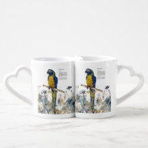 Aquarelles couleur bleu-Throated Macaw