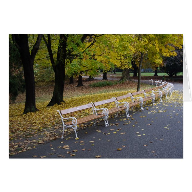 Lot Of Benches (Front Horizontal)