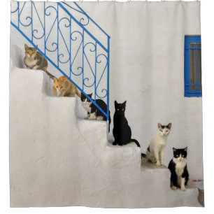 Lot of cats on a white stairway in a Greek village